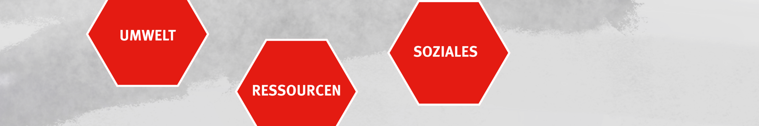 Sostenibilidad